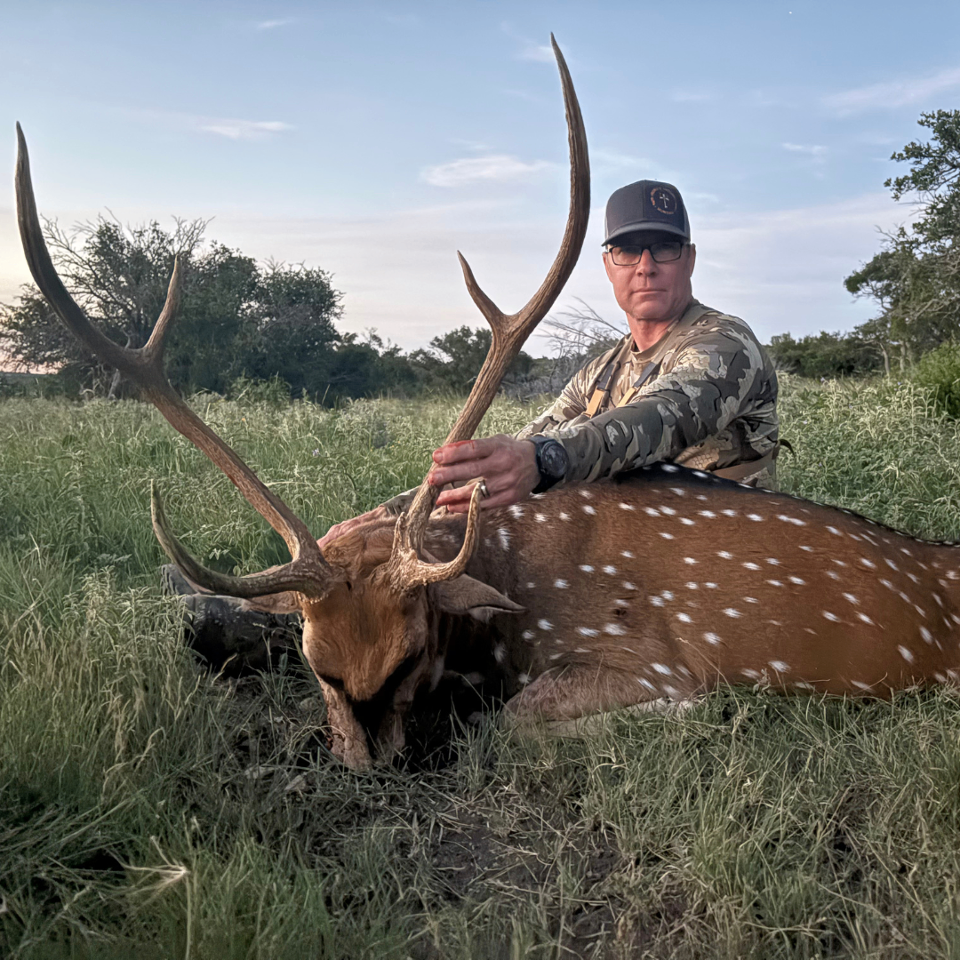 Hunter in camouflage seated behind a harvested axis deer at dusk