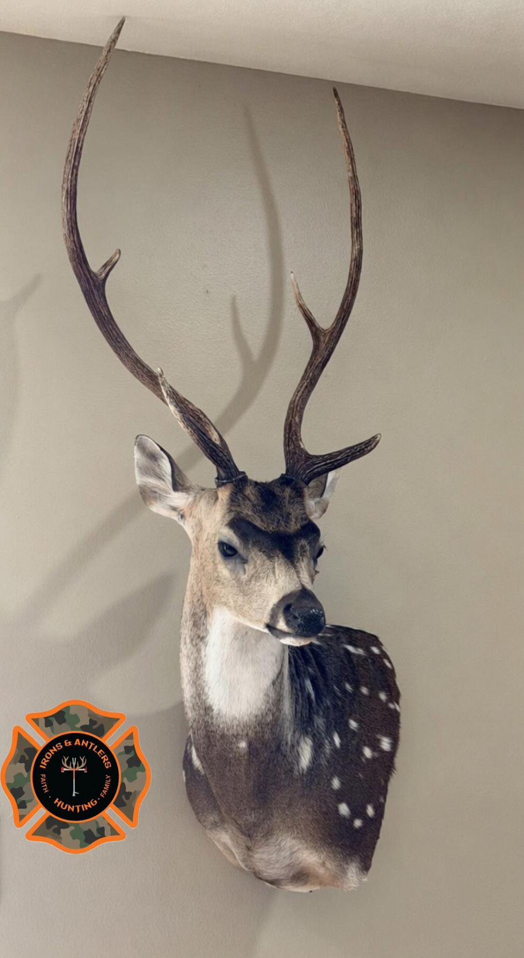 Trophy room